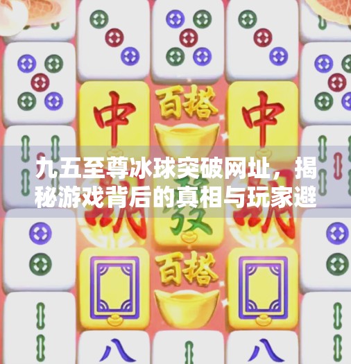 九五至尊冰球突破网址，揭秘游戏背后的真相与玩家避坑指南,九五至尊冰球突破网址