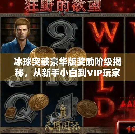 冰球突破豪华版奖励阶级揭秘，从新手小白到VIP玩家的进阶之路,冰球突破豪华版奖励阶级