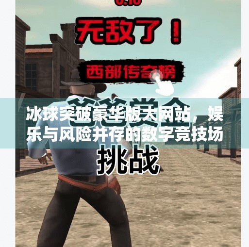冰球突破豪华版大网站，娱乐与风险并存的数字竞技场,冰球突破豪华版大网站