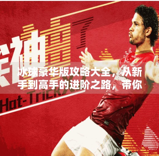 冰球豪华版攻略大全，从新手到高手的进阶之路，带你玩转冰雪战场！突破冰球豪华版攻略大全